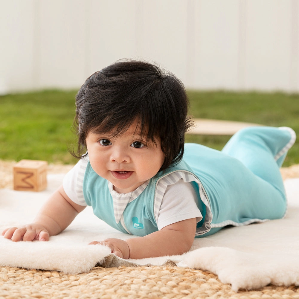 Love To Dream Swaddle Up Transition Bag Ecovero 1.0 Tog