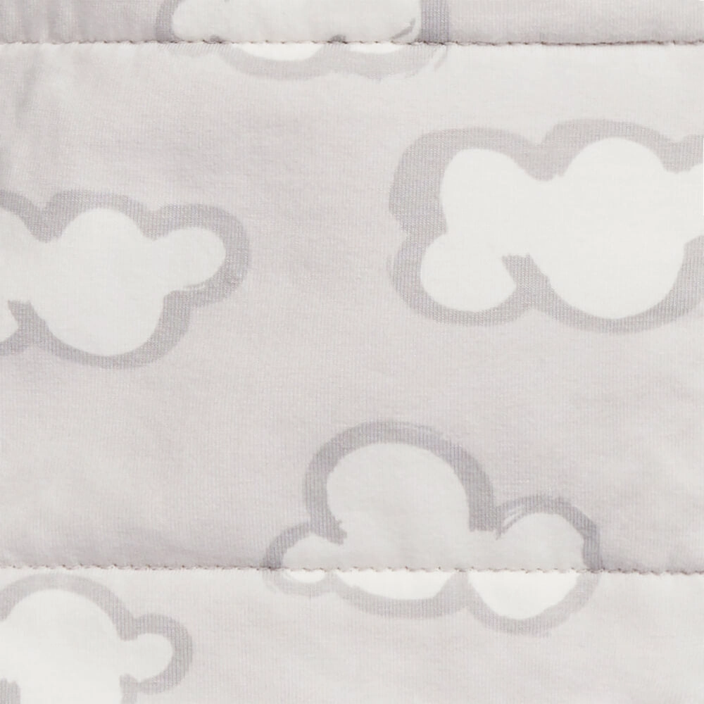 Love To Dream Swaddle UP Transition Suit Warm 2.5 Tog