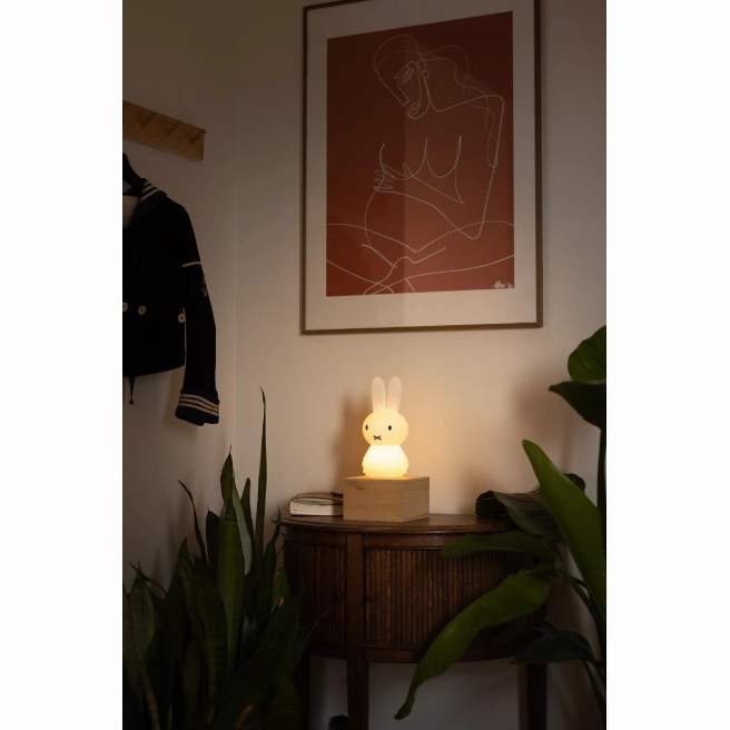 Miffy Shines Light