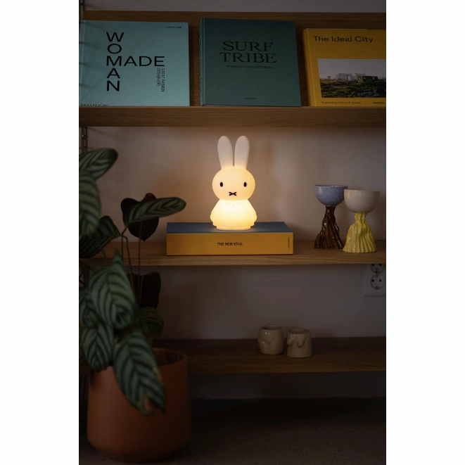 Miffy Shines Light