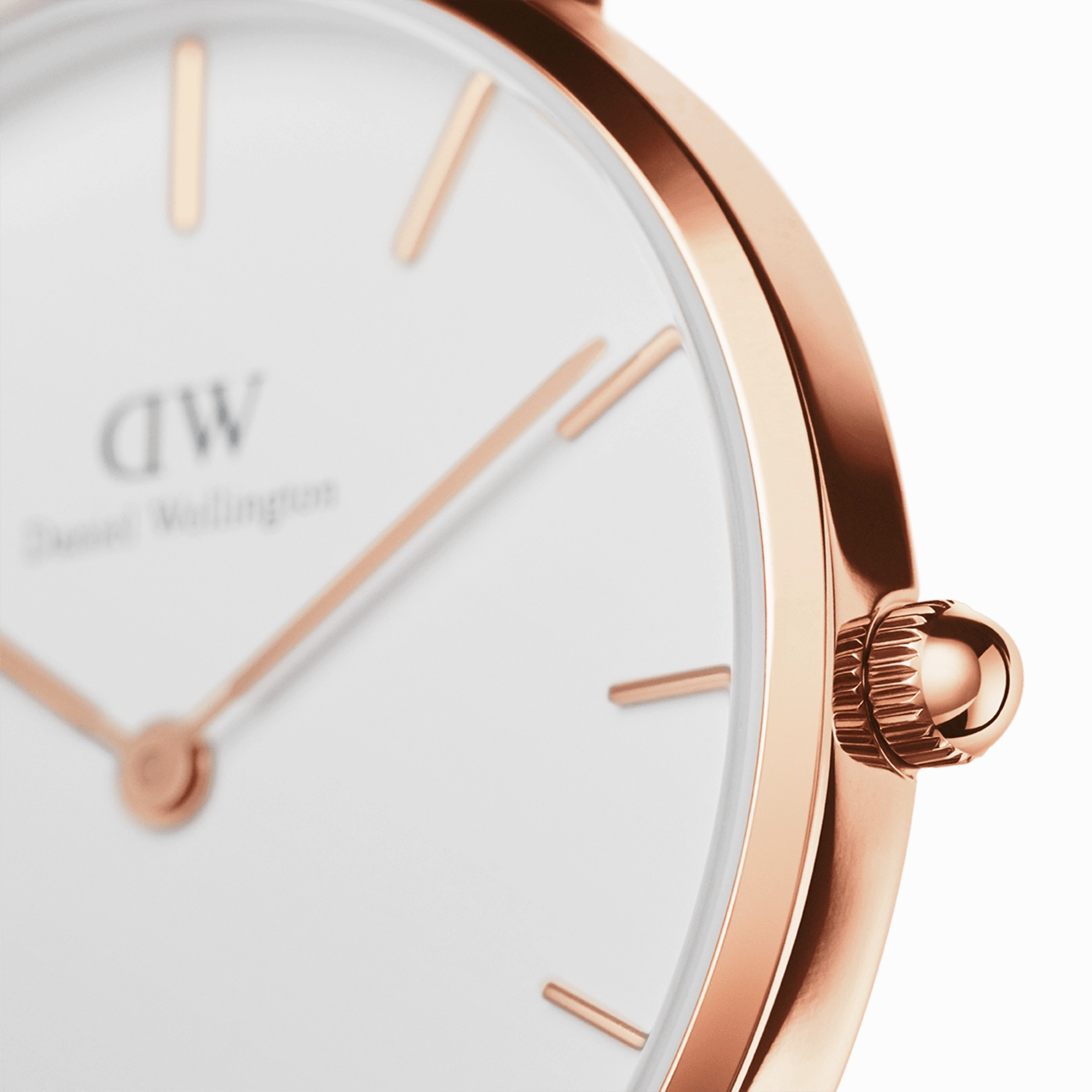Petite Rosewater Rose Gold