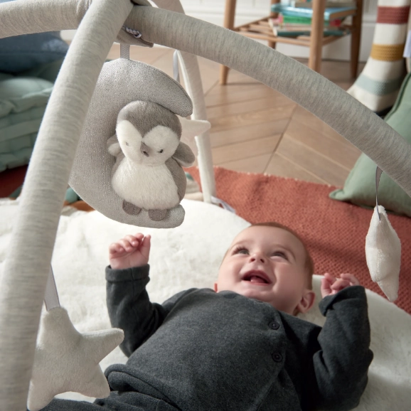 Playmat & Gym - Wish Upon A Cloud