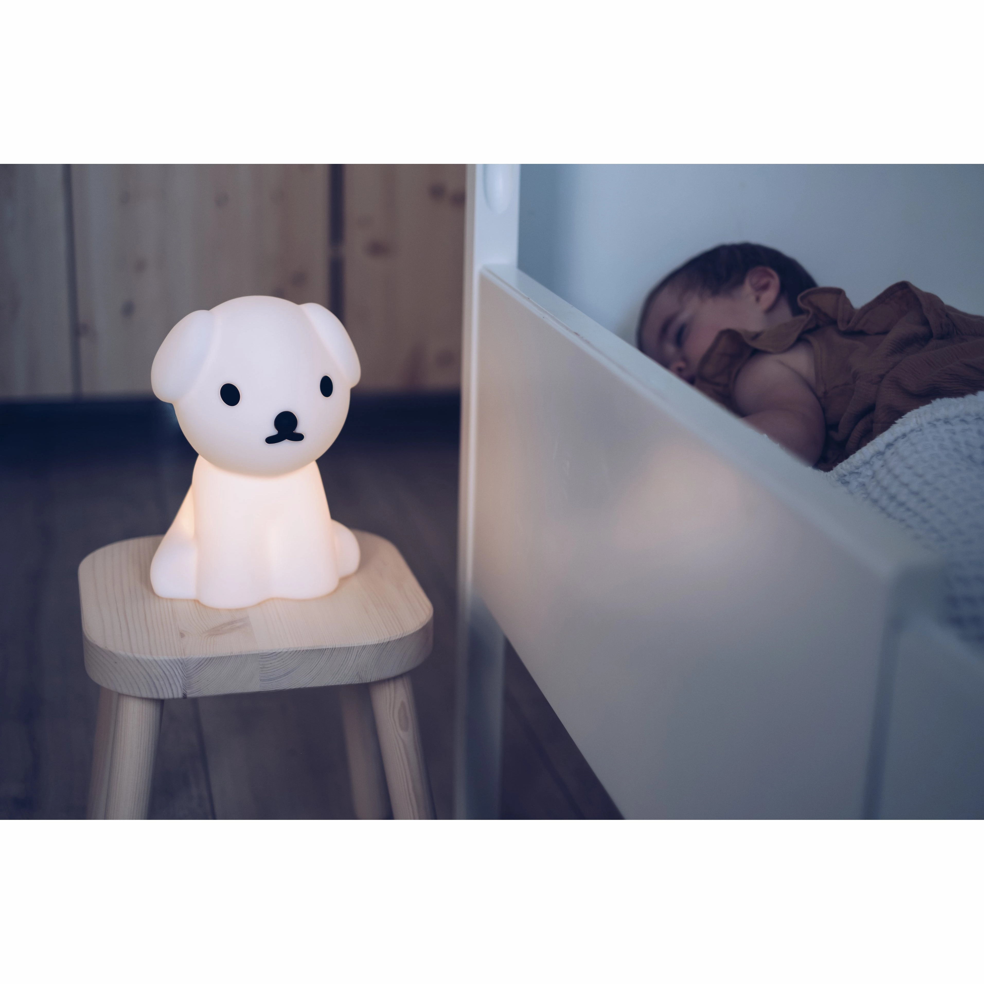 Snuffy First Light - Miffy's Dog