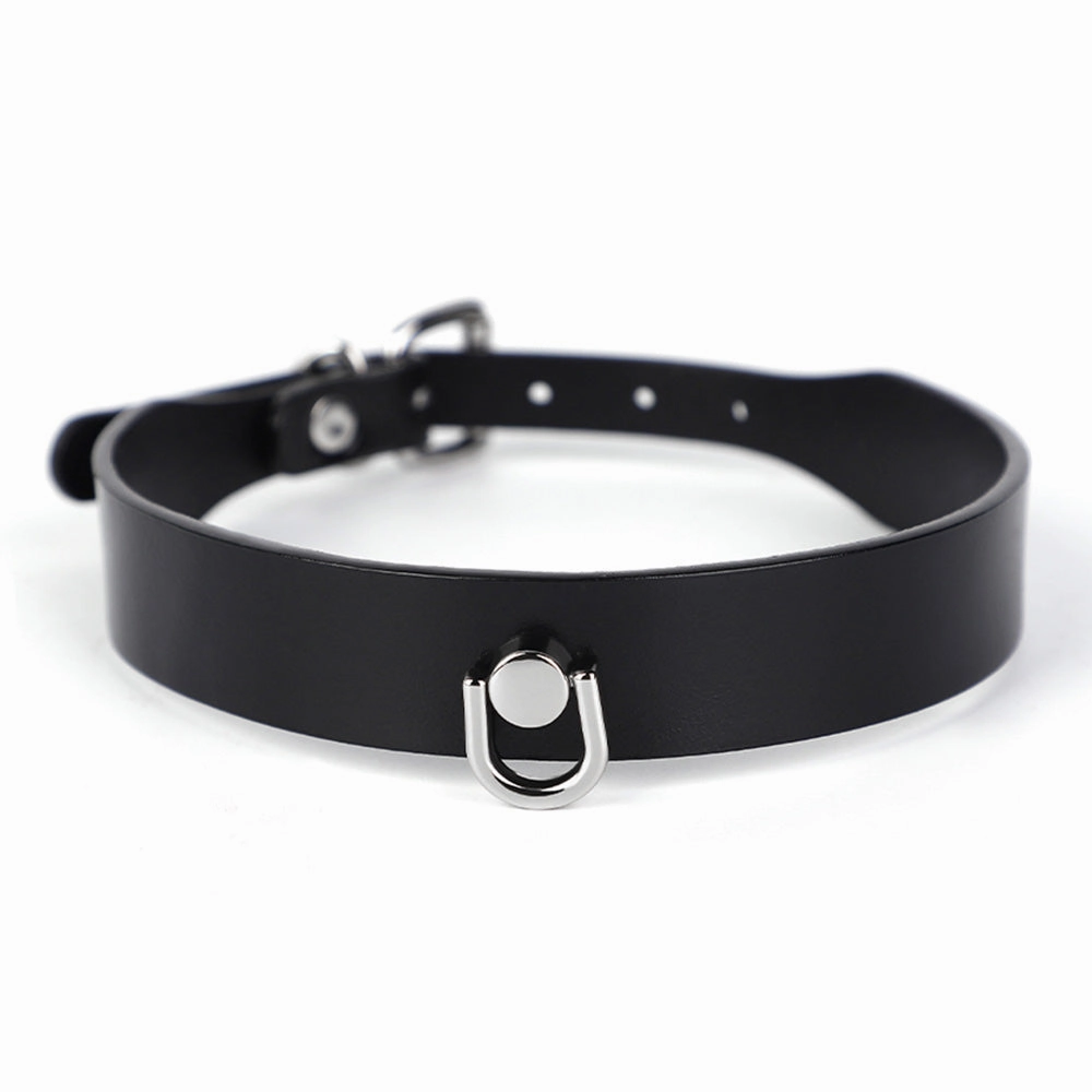 ZYL Genuine Leather D-Ring Day Collar