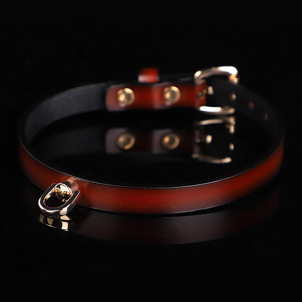 ZYL Slim Genuine Leather D-Ring Day Collar