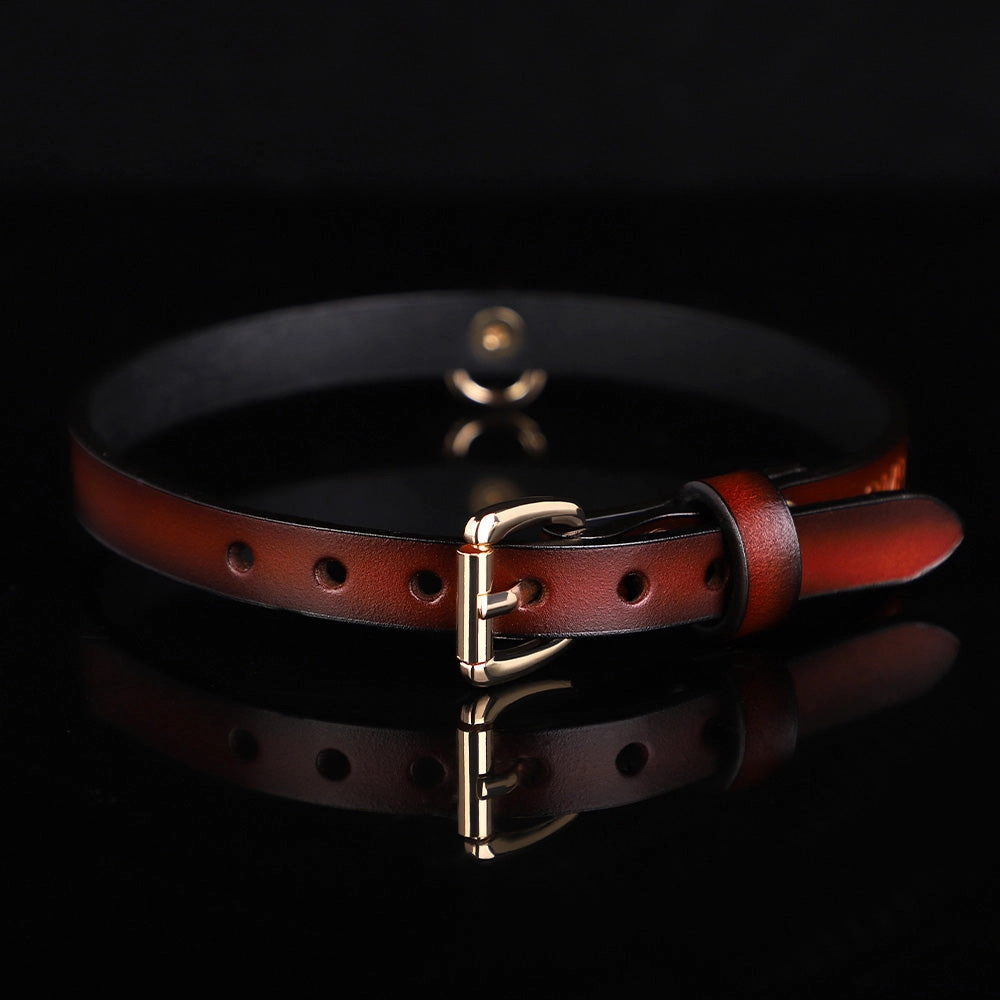 ZYL Slim Genuine Leather D-Ring Day Collar